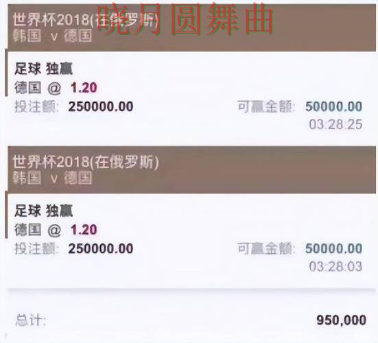 世界杯买球平台决赛阶段应该怎么看盘 热门问题全解析